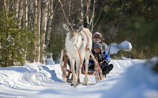 LAPLAND BEYAZ ROTALAR SÖMESTR TURU (FREEBİRD İLE)