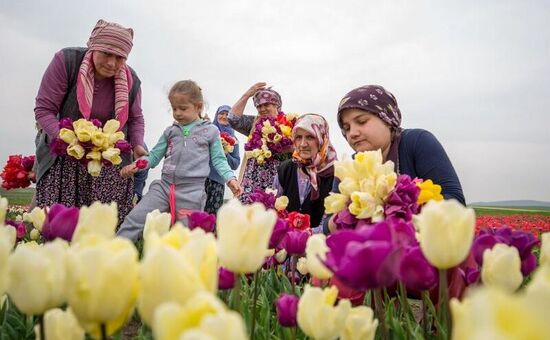 ÇUMRA LALE TARLALARI FESTİVALI TURU GÜNÜBİRLİK